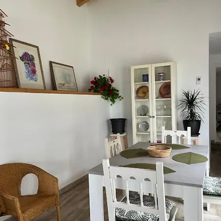 Amplia Casa Con Jardin A Un Paso Del Centro De *